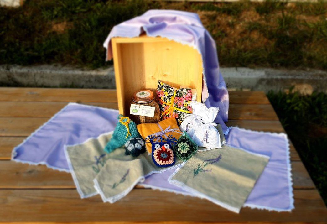 469139077_563972643162260_7428137832014101666_n