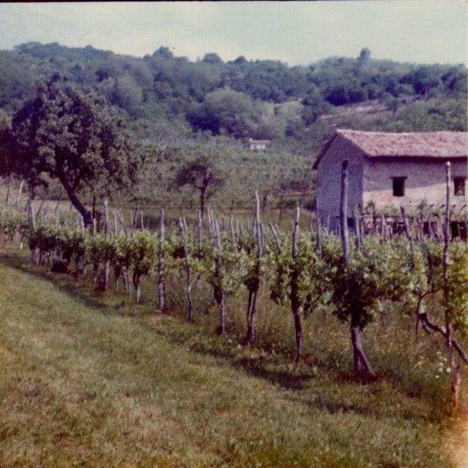 img20210719_15580212