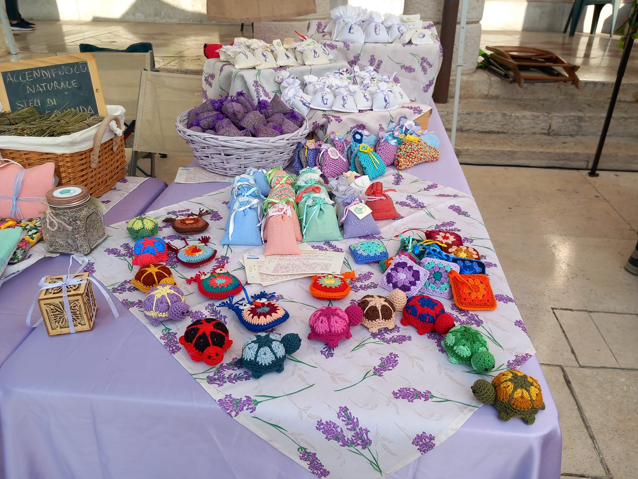 469092738_563974663162058_3748883651085933950_n